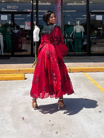 SIENNA EMBROIDERED ORGANZA DRESS