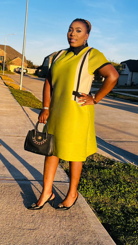 Novara Pleated Miyake Dress