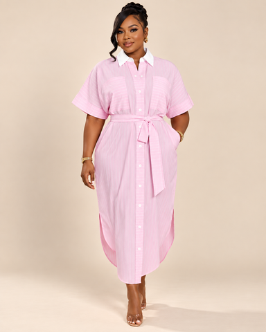 Rosavelle Pinstripe Belted Shirt Dress