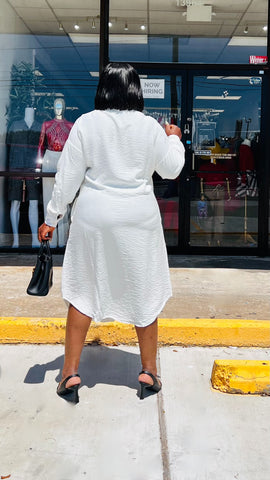 CHARMAINE SEQUINED EMBROIDERY LINEN BLEND SHIRT DRESS