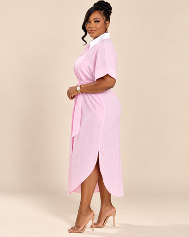 Rosavelle Pinstripe Belted Shirt Dress